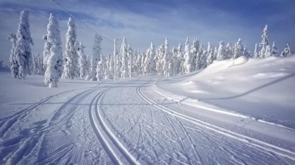 Olosloisto Lomat Muonio Bagian luar foto